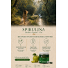 ALTHÉA Spirulina Gummies – Vitamin C, Zinc & Vitamin B12 – Green Apple & Lime
